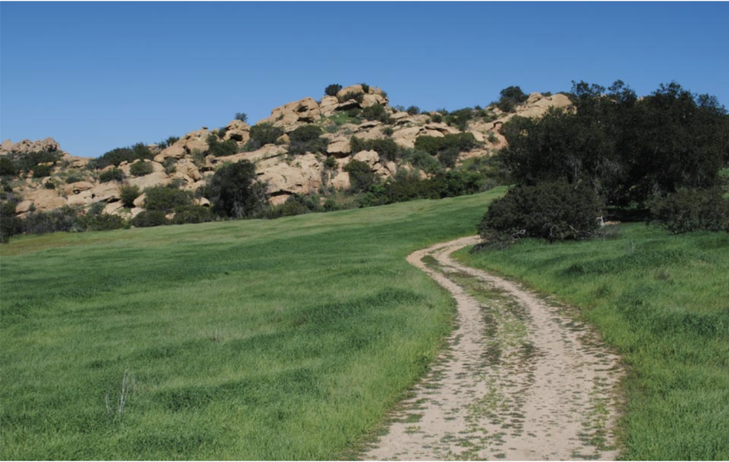 Santa Susana Hillside