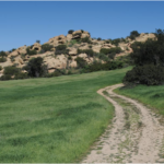 Screen Shot 2019-09-06 at 10.55.50 AM